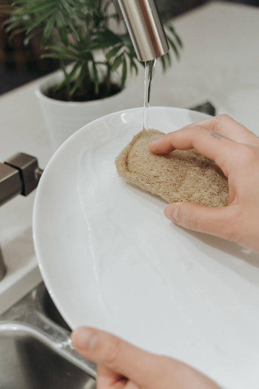 3 Pack Natural Loofah Sponge | Doubled Layered | Plant-Based
