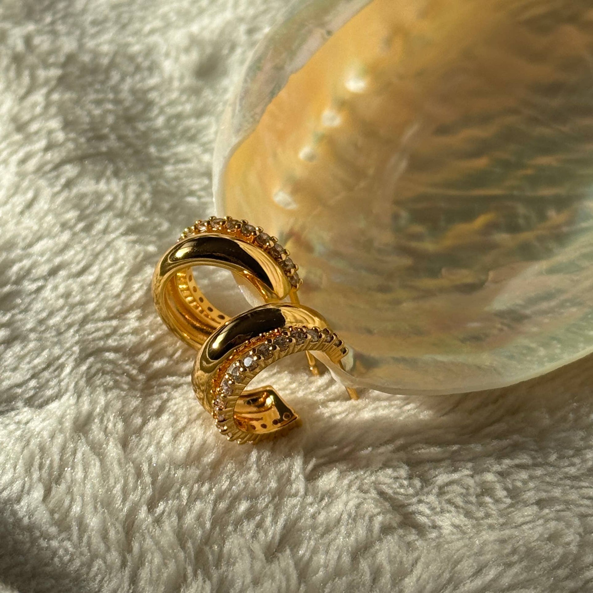 Lisa Hoops