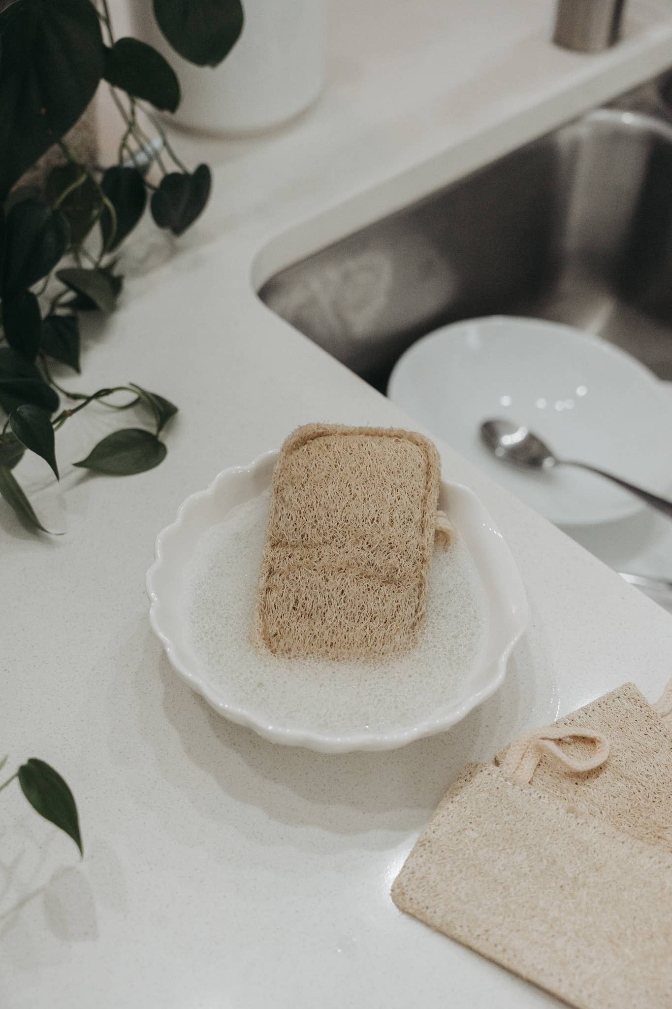 3 Pack Natural Loofah Sponge | Doubled Layered | Plant-Based