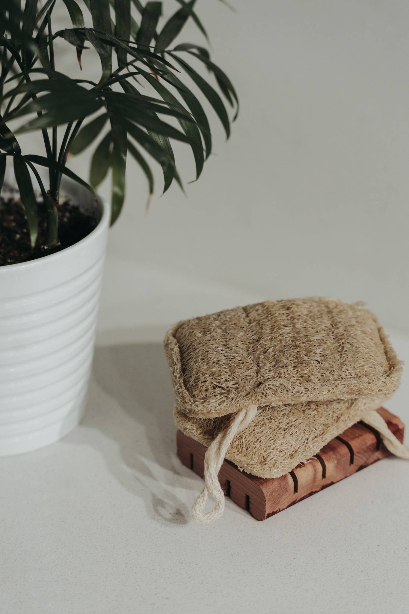 3 Pack Natural Loofah Sponge | Doubled Layered | Plant-Based