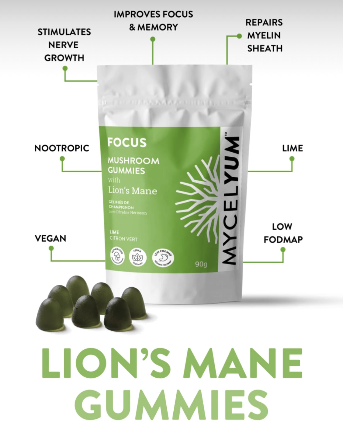 FOCUS Mushroom Gummies -Lions Mane