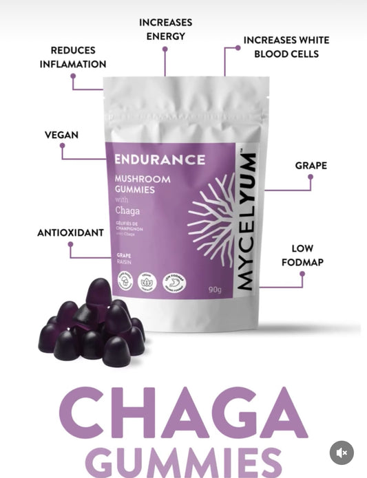 ENDURANCE with Chaga