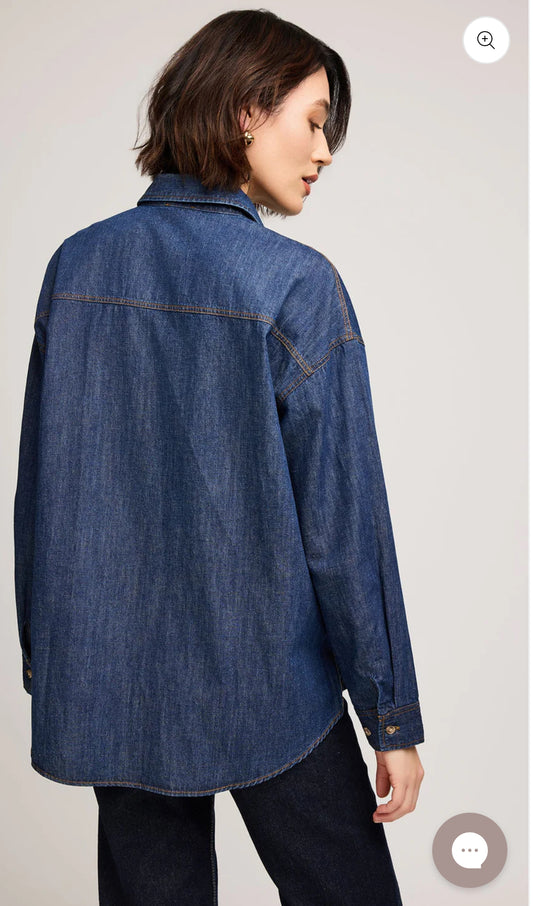 Whitney Denim Button Down Shirt