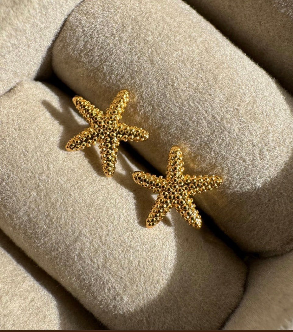 Starfish Studs