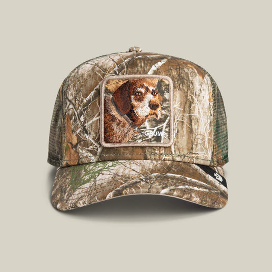 REALTREE
 
EDGE
 
GRUMP
DOG