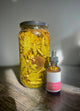 Echinacea Tincture