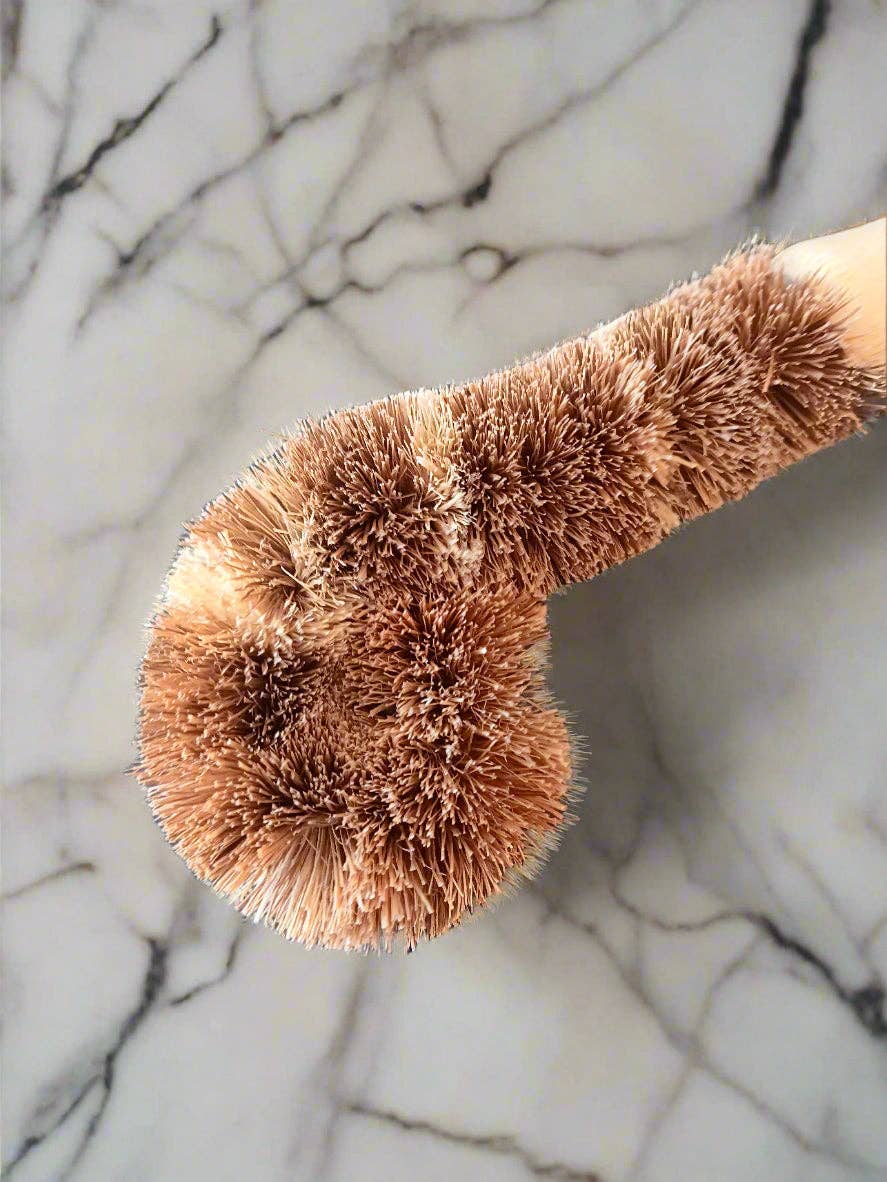 Compostable Household Cleaning Brushes